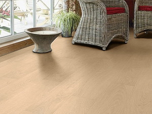 ����������� �������� Praktik 