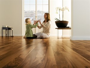 ������������ �������