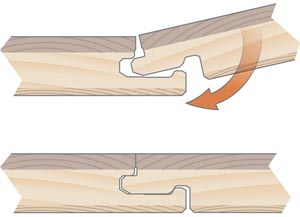 ���� ����� ��������� � ��������� � ������� �� �������